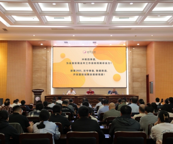 J9直营集团丝绸2024年三季度经济局势分析会顺利召开